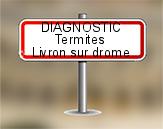 Diagnostic Termite ASE  à Livron sur Drôme